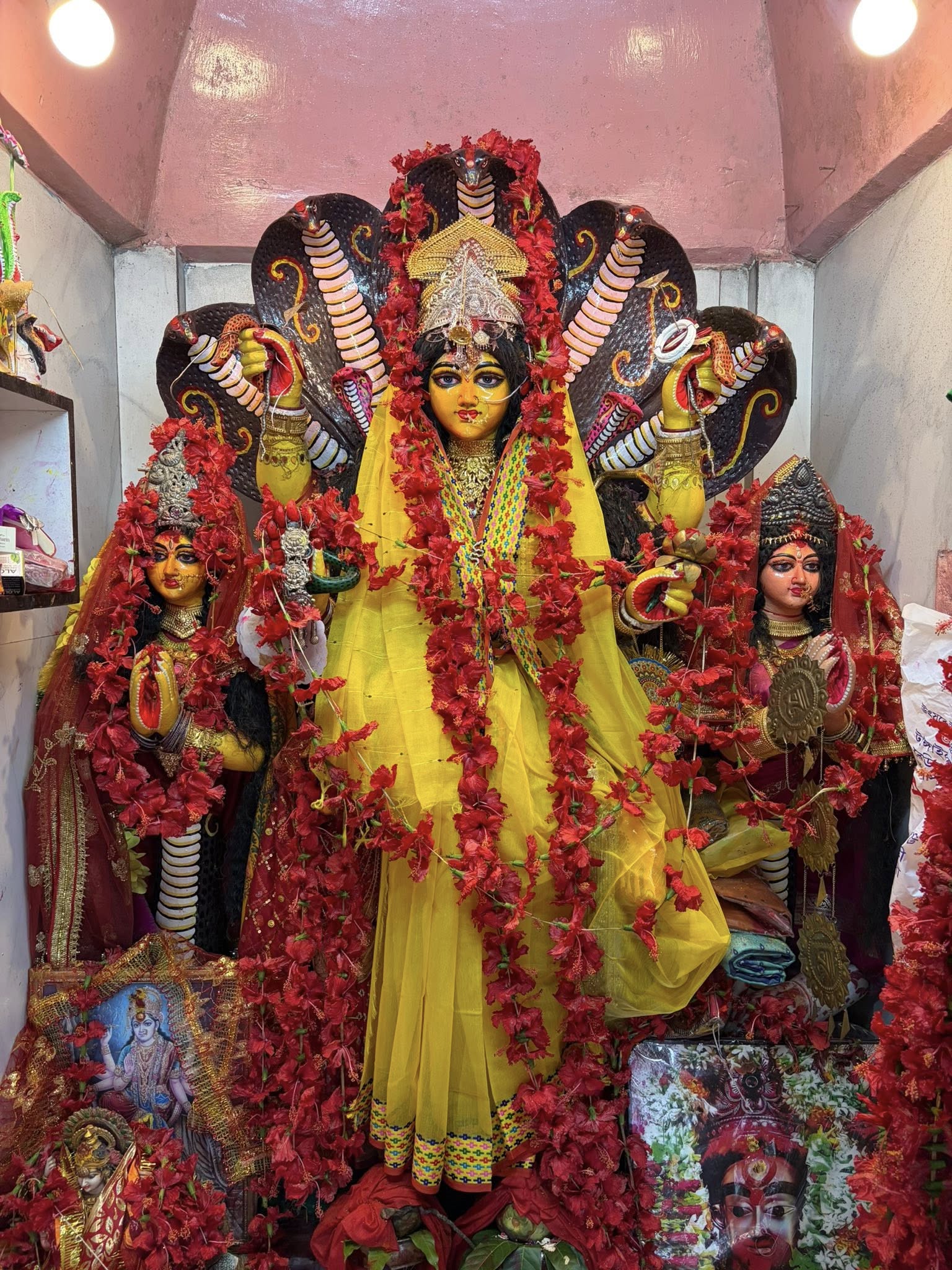 Manasa Devi (Manikyamba) - West Bengal